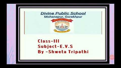 Class III  EVS  Chapter 8  (The Games We Play)