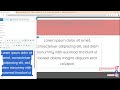 DOM109 ¦ Bài 32 ¦ Xây Dựng Trang 404 Website WordPress ¦ Chaubnm 1080p 30fps H264 128kbit AAC