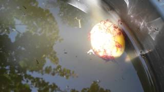 Larve Di Chironomidi, Entomologia, Insetti.