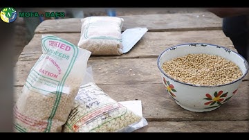 QUALITY SEEDS FOR IMPROVED PRODUCTION AND PRODUCTIVITY