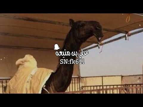 حسين الكوري محمد ال نجم لنشاما عند مثلي مواجيب ودين قديم