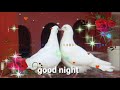 GOOD night viral video - Whatsapp, status Wishes, Quotes, Message Greetings full HD biutiful image