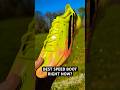 Their BEST boot in more than 10 years?