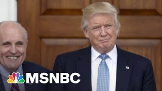Celebrity Trump Resorts To Blogging After Losing Election And Right To Tweet | The Beat With Ari Melber Profile