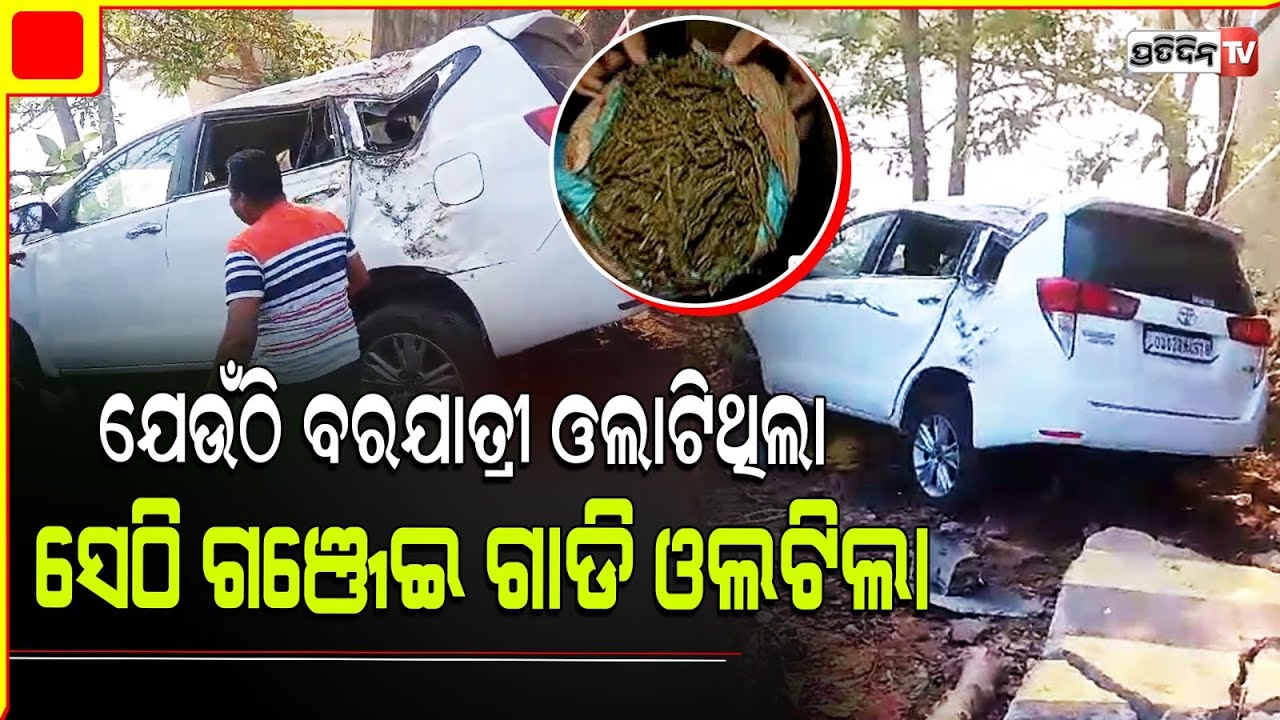 ଯେଉଁଠି ବରଯାତ୍ରୀ ଗାଡ଼ି ଓଲଟିଥିଲା, ସେଇ ବ୍ରିଜରେ  ଓଲଟିଲା ଗଞ୍ଜେଇ ଗାଡି! Koraput Car accident.