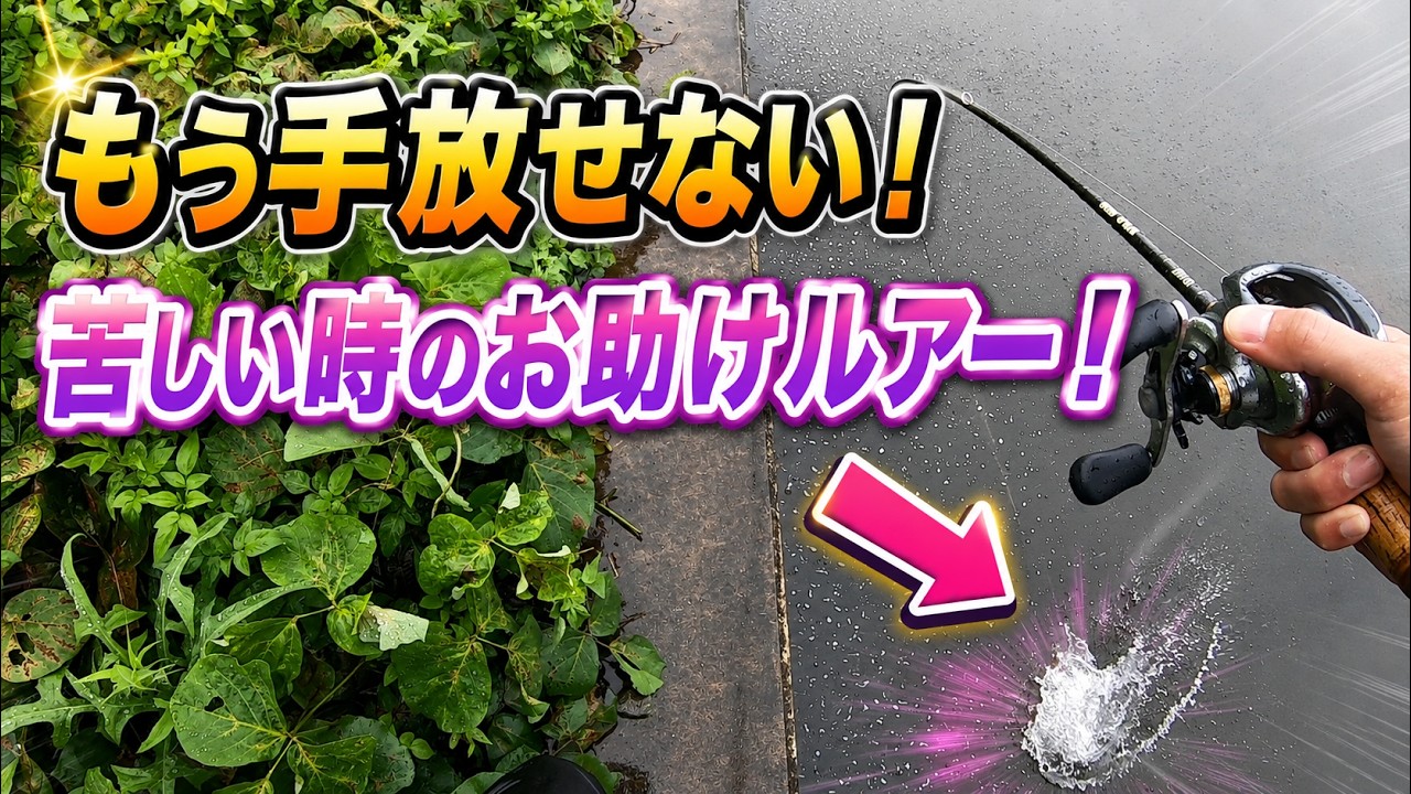 【大江川】最近お気に入りのルアーを使い込んでみた結果【バス釣り】