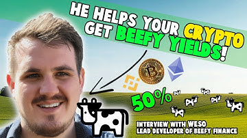 Beefy Finance makes Defi Easy! | With Weso from Beefy