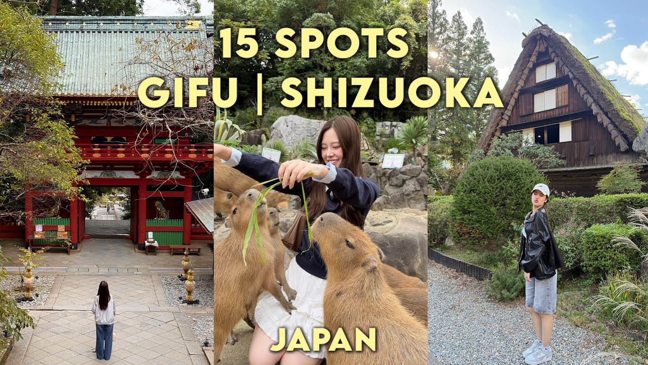 ญี่ปุ่น 2 เมือง Gifu, Shizuoka รวม 15 พิกัดที่ต้องไป เที่ยวง่าย เมืองสวย ต้องมาสักครั้ง!