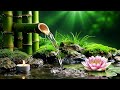 Relaxing Piano Music with Water Sounds 🌿 24/7 Soothing BGM for Sleep, Study & Healing