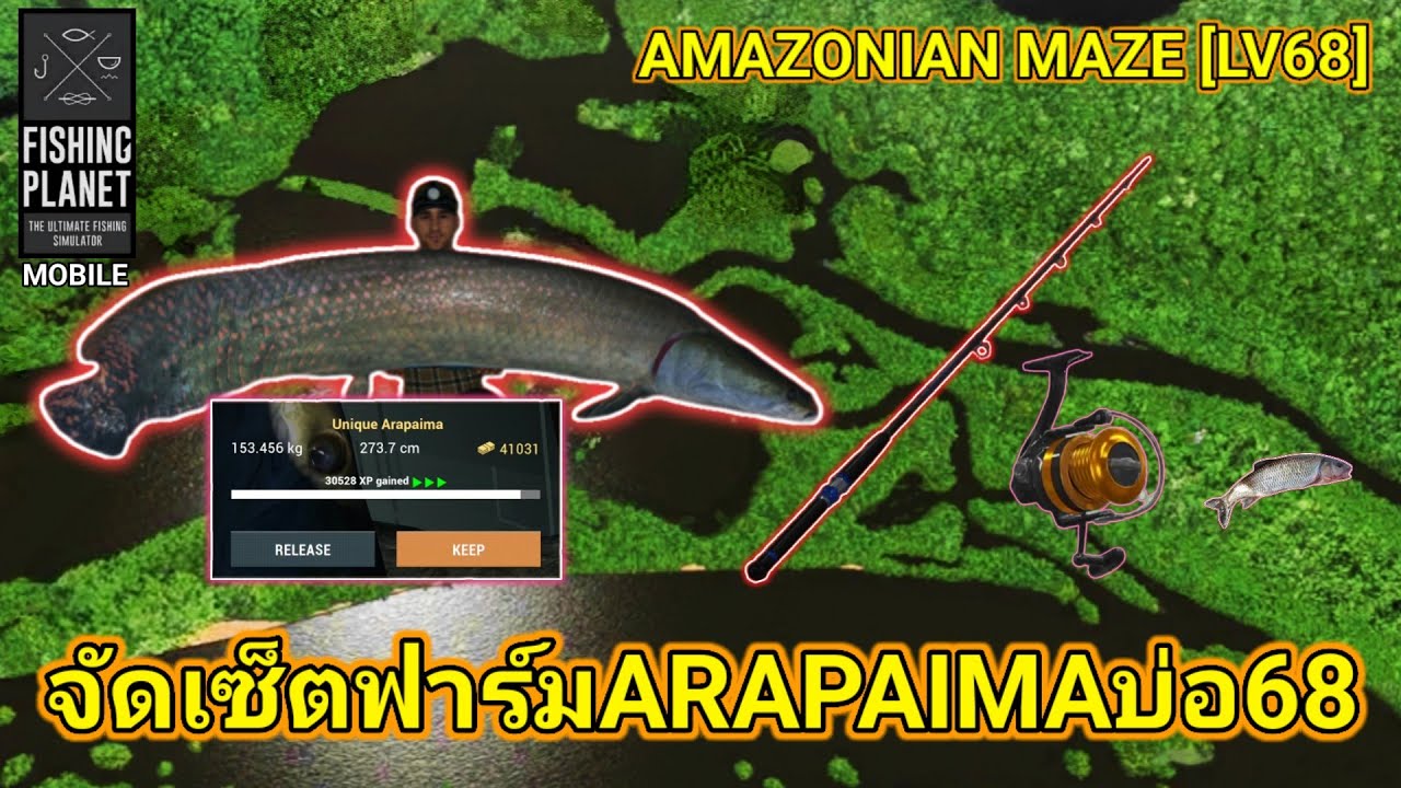 Fishing Planet | จัดเซ็ตฟาร์มARAPAIMAบ่อ68 AMAZON FARM LV.68