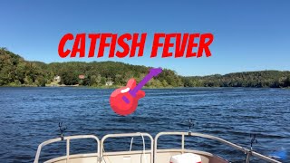 Catfish Fever