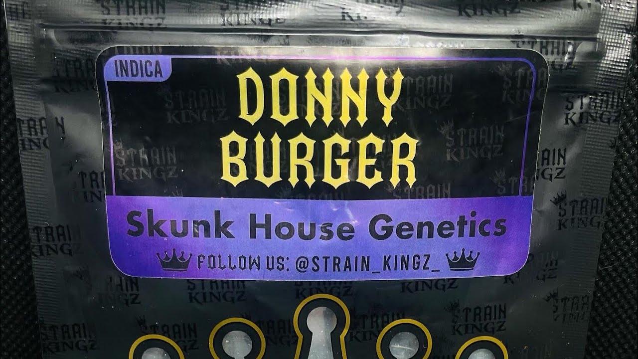 Strain Review : Donny Burger from Strain Kings -Voodoovalleyvets exotic reviews