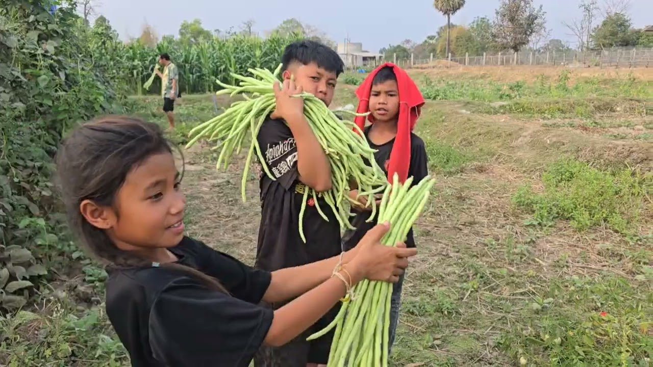 พาสาวจ่อยเข้าสวนกับเด็กๆ 24 กุมภาพันธ์ ค.ศ. 2026