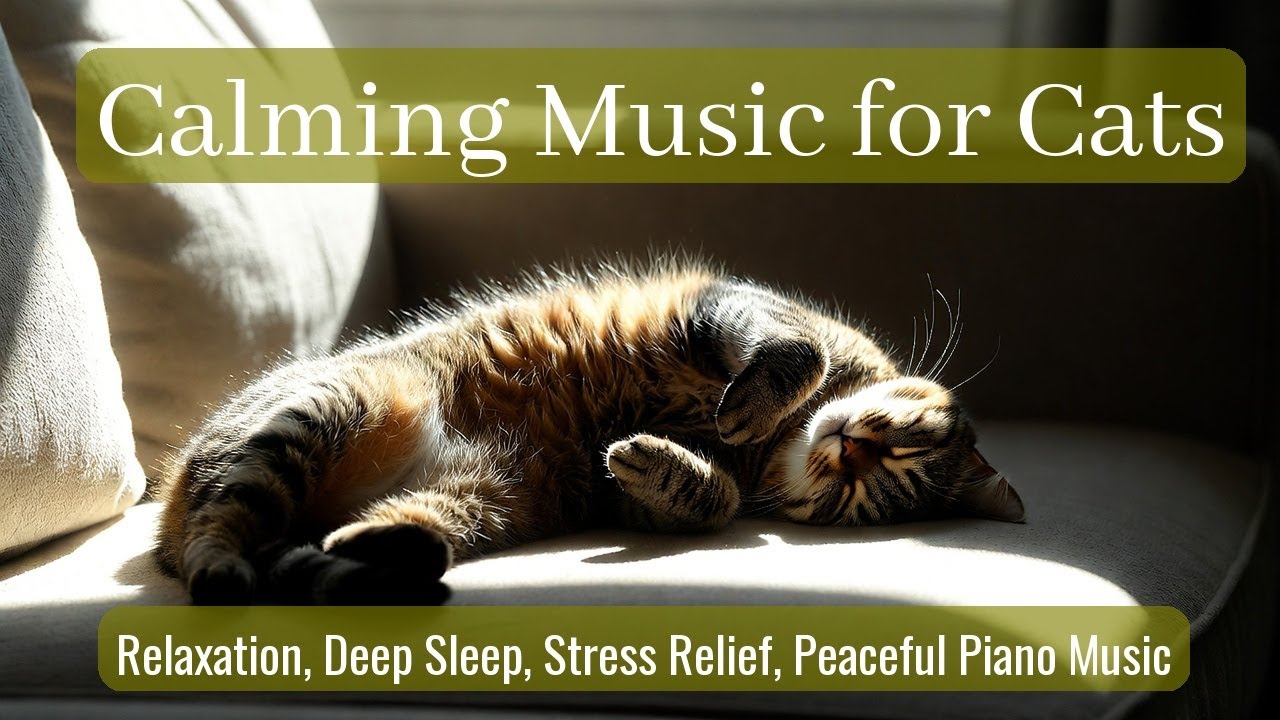 Calming Music for Cats - Relaxation, Deep Sleep, Stress Relief, Peaceful Piano Music | Season 67