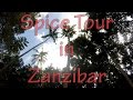 Spice Tour in Zanzibar