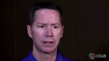 Explaining the diverse nature of the system integration industry