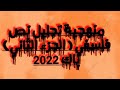 تحليل نص فلسفي وفق المنهجية الجديدة باك 2022 