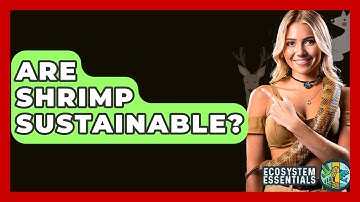 Are Shrimp Sustainable? - Ecosystem Essentials
