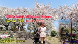 Bikin betah di Taman Sakura Kamine jepang 日本の生活@AjisgagahTegalvlogjepang