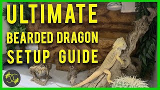 How to Setup a Bearded Dragon Enclosure - 2020 - Cookies Critters