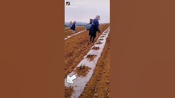 dụng cụ trồng cây  liên hệ em 0948269938