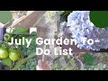 What to Do in Your Garden in July 🌞 | Essential Gardening Tasks &amp; Tips!