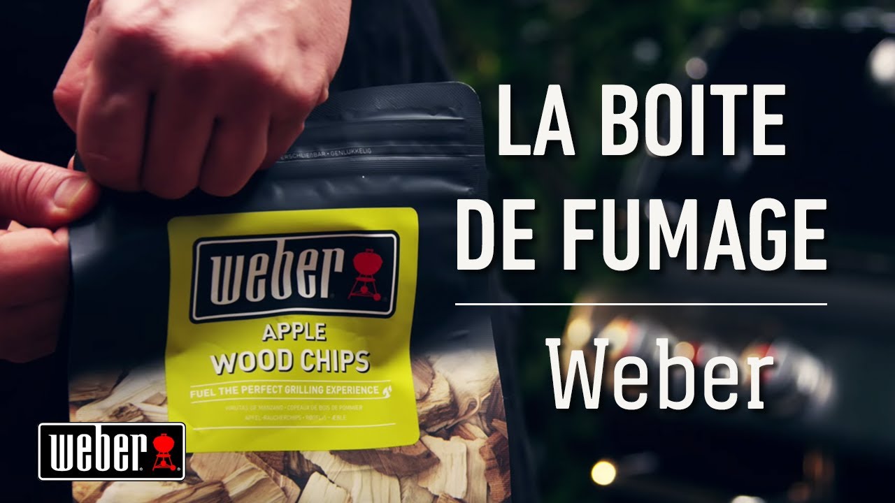 Boîte de fumage Weber pour barbecue à gaz, barbecue électrique et