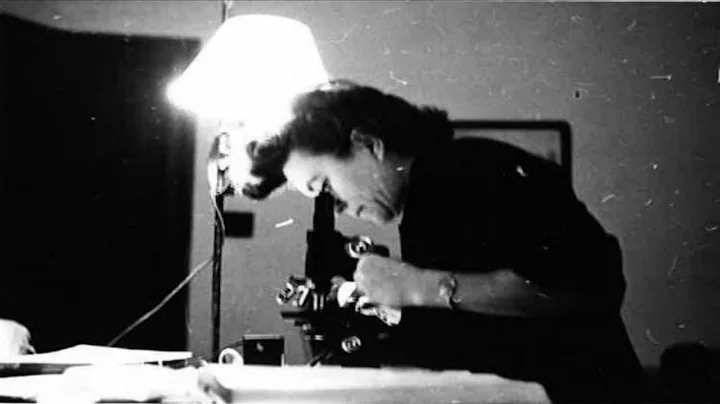 Celebrating Women: Dr. Kathleen Weston and NMU
