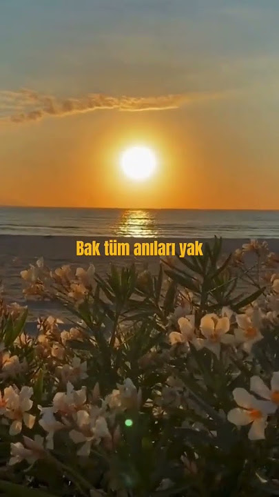 Burcu Güneş - Anıları yak