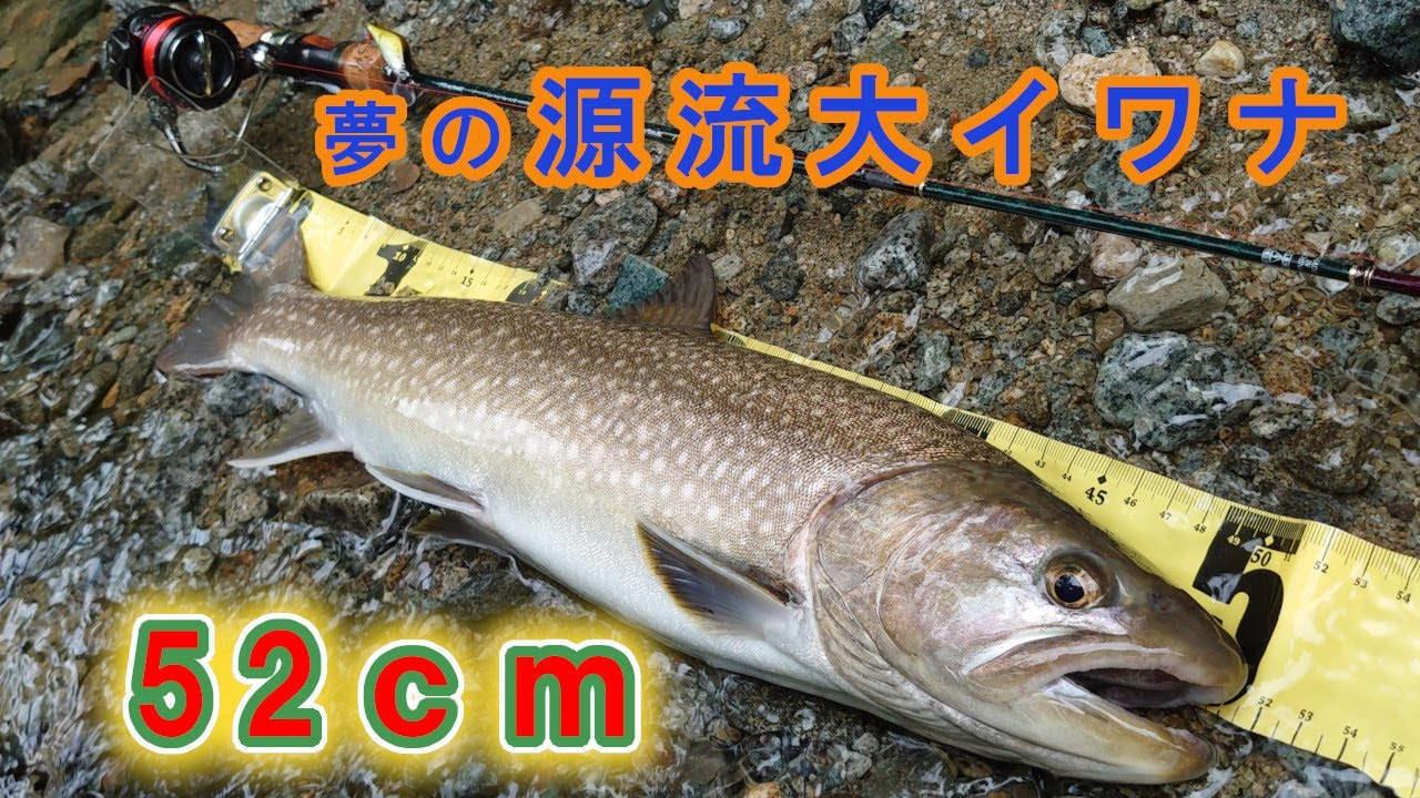 【渓流 ルアー】50オーバーの源流大イワナ釣った直後にダメ押しでモンスター釣る神回！