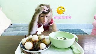 Mom rushed to work, monkey Lyly was bored with her meager breakfast