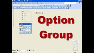 Setting up and using an Option Group in Access ~ DataPig
