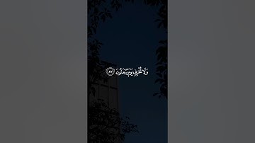 وَلَا تُخْزِنِي يَوْمَ يُبْعَثُونَ || سورة الشعراء #احمد_النفيس 🤍🌱