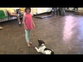 Teaching your Dog to Stay Teaching your Dog to Stay