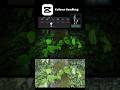 CapCut Trending Filter Tutorial 2026 | Viral Cinematic Color Grading Effect 🔥#shorts