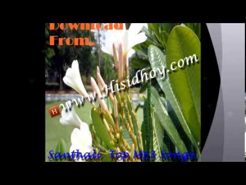 Download Latest Santhali Mp3 Songs.