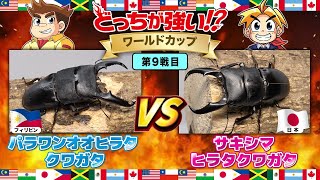 どっちが強い!?ワールドカップ編 】第9戦目 パラワンオオ