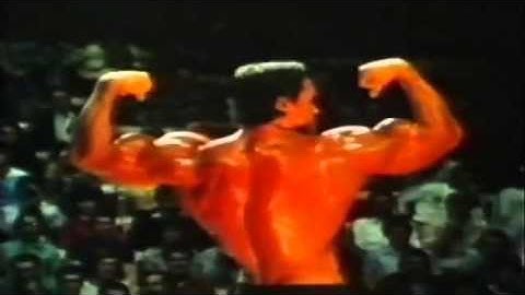 Arnold Schwarzenegger   Don