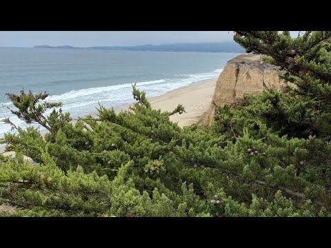Day Trip (Short Clip): San Francisco to Half Moon Bay
