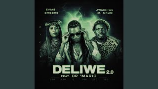 Deliwe 2.0