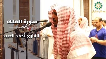 القارئ أحمد العبيد | عشائية عراقية خاشعة من سورة الملك