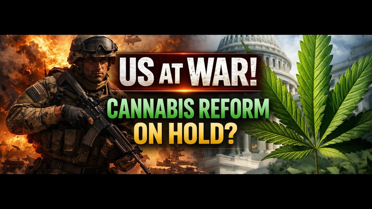 Cannabis Coast to Coast News special report: No news this week, Jimmy Young explains in Editorial