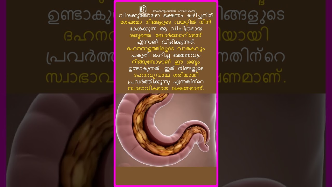 വയറ്റിലെ ശബ്ദത്തിന് പിന്നിലെ രഹസ്യം! | Science of Stomach Growling