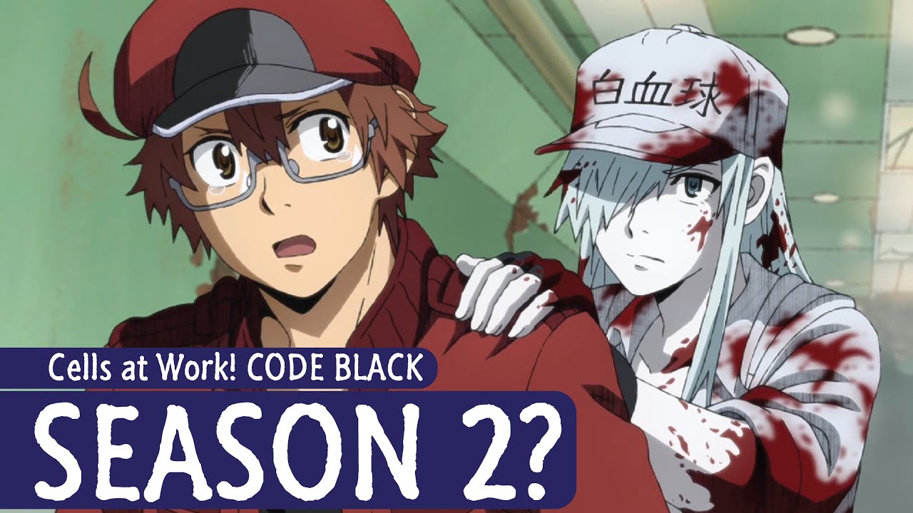 ▷ Hataraku Saibou Black is getting a double episode next week 〜 Anime Sweet  💕