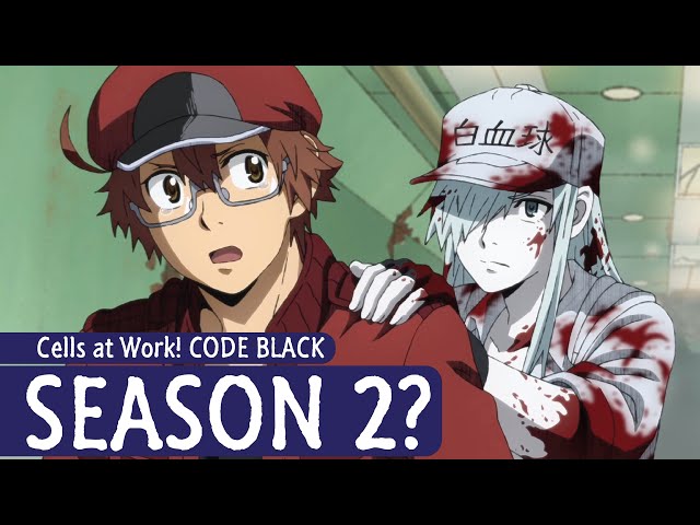 Anime Winter 2021 はたらく細胞BLACK Hataraku Saibou BLACK Cells at Work! Code  Black Japan release date= Jan…