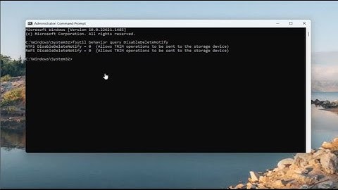 Check if TRIM Is Enabled on SSD in Windows 11 [Tutorial]