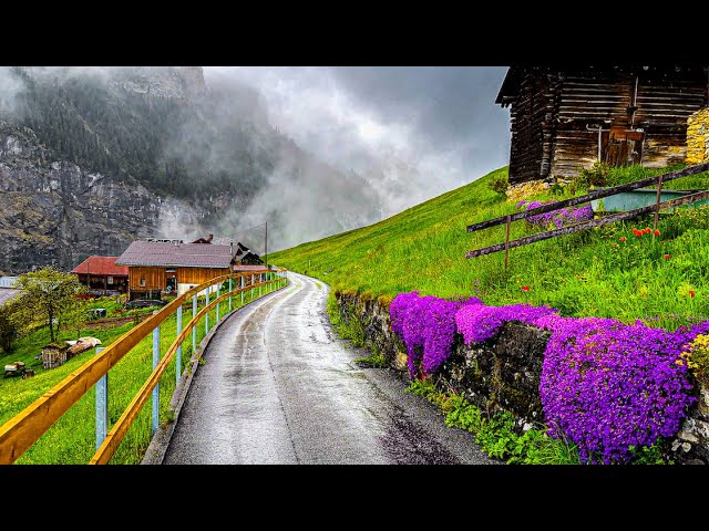 Beautiful rain walking tour in Gimmelwald 🇨🇭 A Swiss village class=