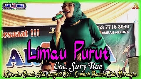 Lagu Jambi - Limau Purut - voc. Sary Bae - Official management arzuna music