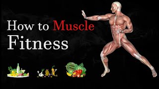How to Muscle Fitness 