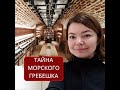 Тайна морского гребешка. Путь Сантьяго де Компостелла.